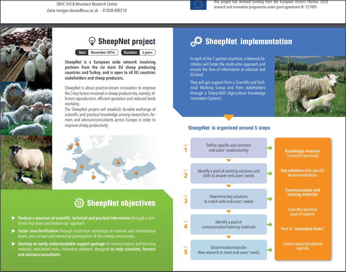 The official SheepNet leaflet to present the network at a glance!
