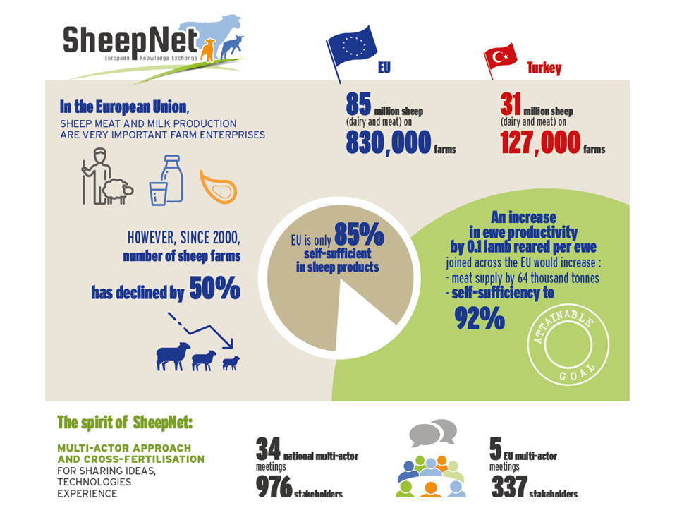 sheepnet infographics