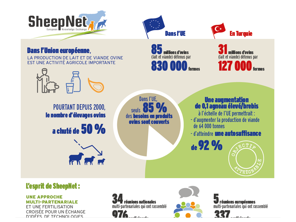 sheepnet infographique