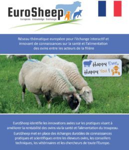 Volantino della rete Eurosheep - francia