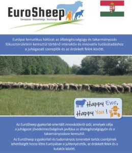 Reţea EuroSheep broșură maghiară