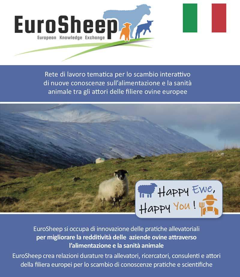 Volantino della rete Eurosheep - italiano