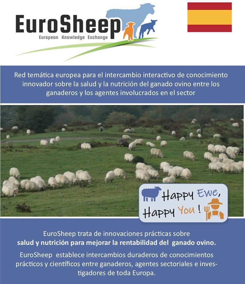 Volantino della rete Eurosheep - spagnolo