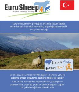 Eurosheep Ağı el İlanı - Türkiye
