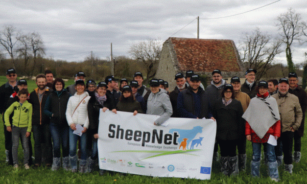3ème Réunion Nationale SheepNet