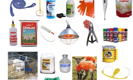 Un inventaire des produits et du matériel dédiés à l’agnelage