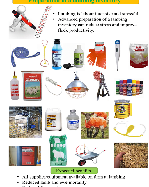 Un inventaire des produits et du matériel dédiés à l’agnelage