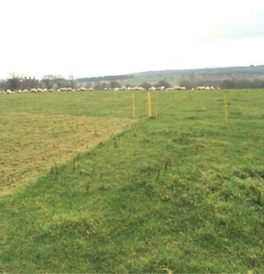 A simple approach to rotational grazing