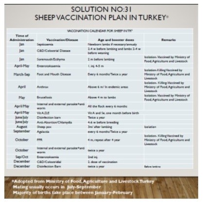 Vaccination Calendar for Sheep