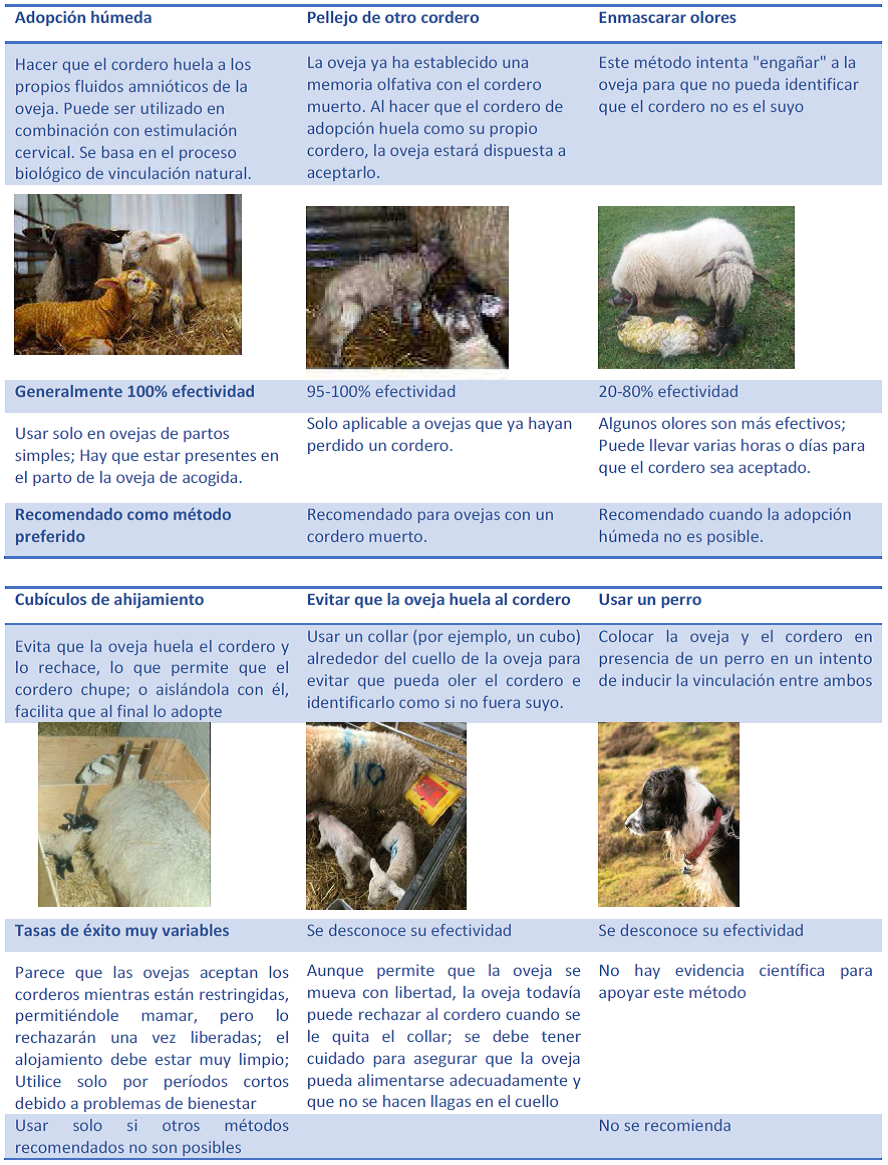 Tabla con la evaluacion de varios sistemas para facilitar la adopcion de los corderos
