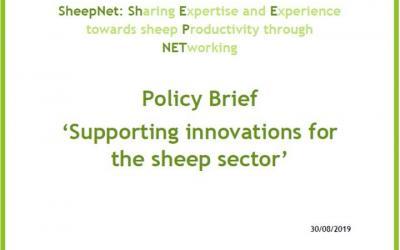 Supportare le innovazioni per il settore ovino