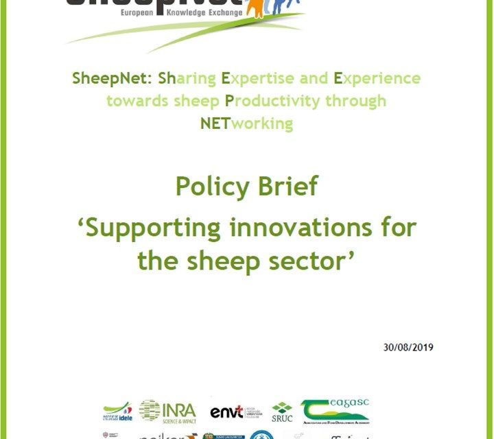 Note d’orientation « Soutenir l’innovation dans le secteur ovin »