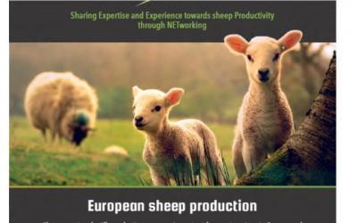 SheepNet Tanıtım broşürü