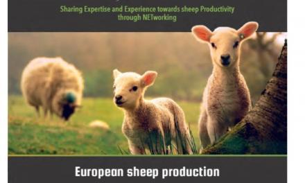 SheepNet Tanıtım broşürü