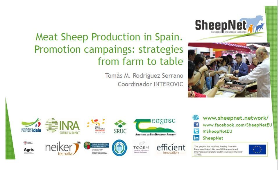 Production de viande ovine en Espagne. Campagnes de promotion : stratégies de l’élevage à l’assiette