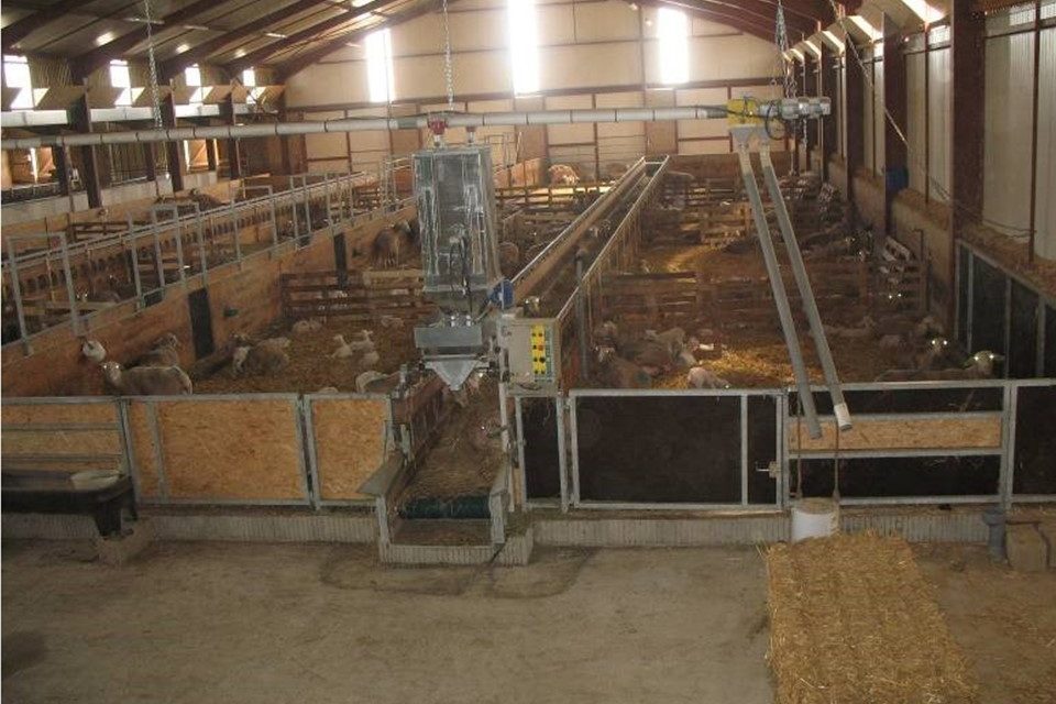 Organisation of the lambing shed in small batches