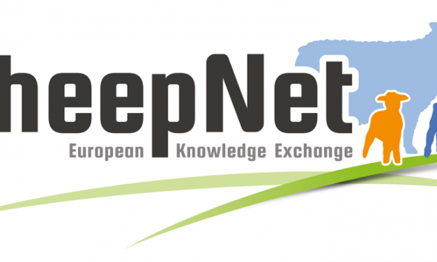 1ª SheepNet Newsletter – España