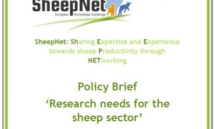 Resumen Políticas- Necesidades de Investigación para el sector ovino