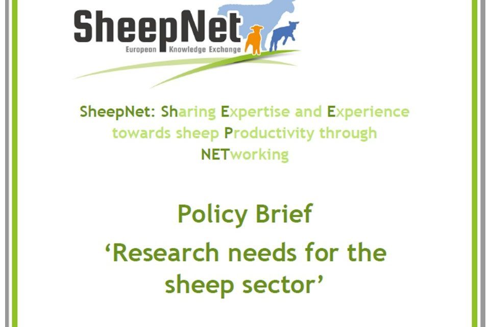 Policy brief -Besoins de recherche pour le secteur ovin