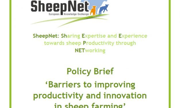 Resumen Políticas – Barreras para mejorar productividad e innovación en ganadería ovina