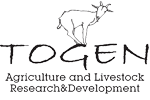 Togen - Agriculture and Livestock R&D, TÖRÖKORSZÁG