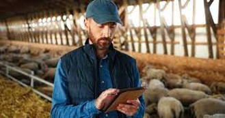 Detailed data keeping for health management to organise farms’ health plan / Use of smartphone or/and computer applications to get reminders