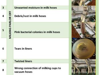 Record and review self-evaluation checklist for daily milking parlour maintenance inspection