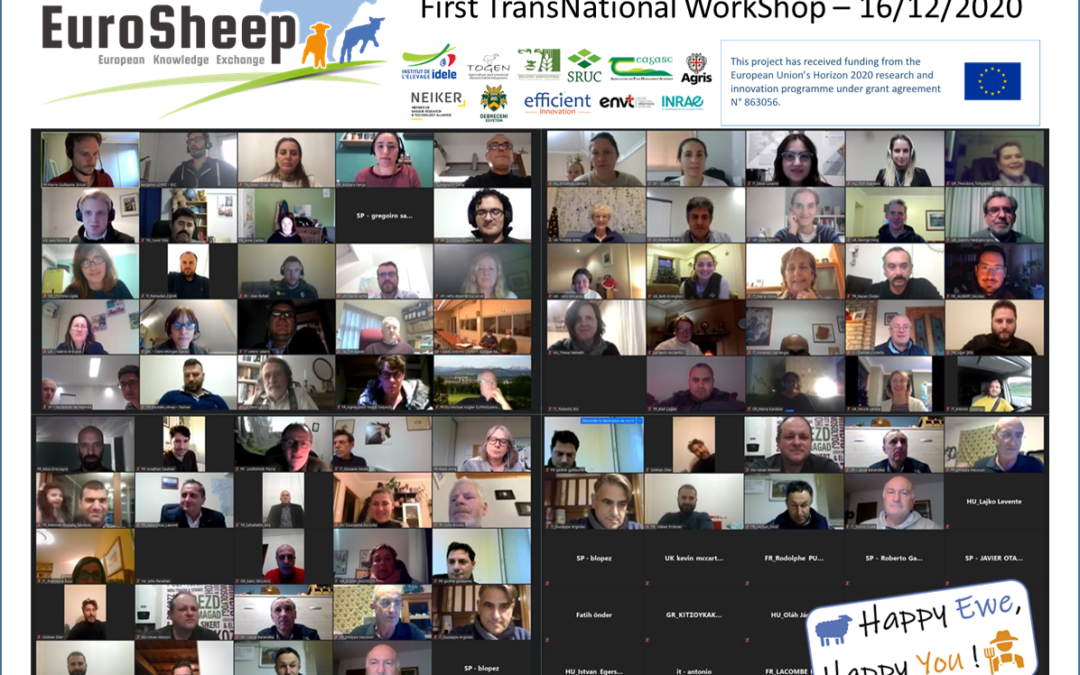 Beszámoló az 1. EuroSheep Transznacionális WorkShopról
