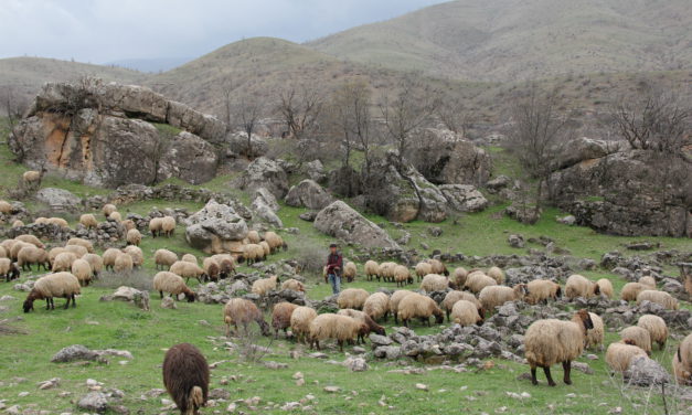 “Wikiloc”: una herramienta gratuita para registrar las actividades de pastoreo