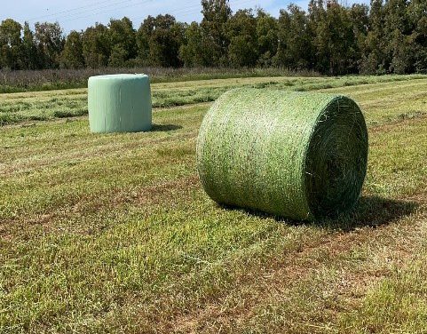 Cómo producir silo de hierba de buena calidad