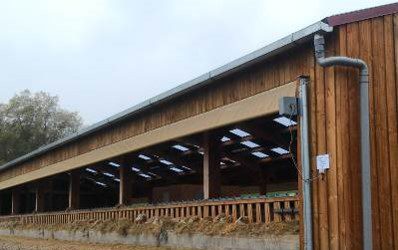 Well ventilated sheepsheds