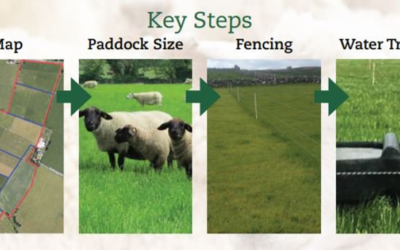 Sistemas de pastoreo rotacional (establecimiento y manejo)