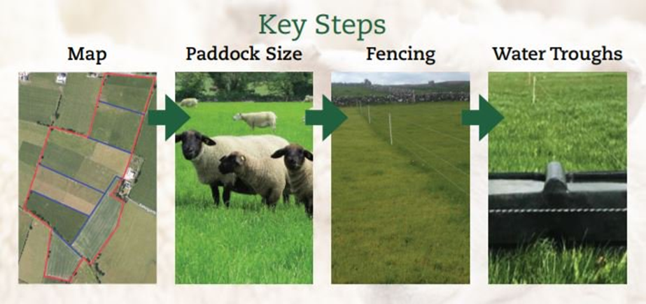Sistemas de pastoreo rotacional (establecimiento y manejo)