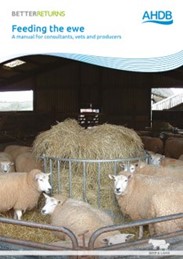 “Feeding the ewe” – feed planning