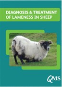How to Recognise Lameness