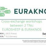 Workshop between EuroSheep and Euraknos