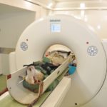 CT Scanning as a Tool for Assessing Body Composition and Carcass Quality