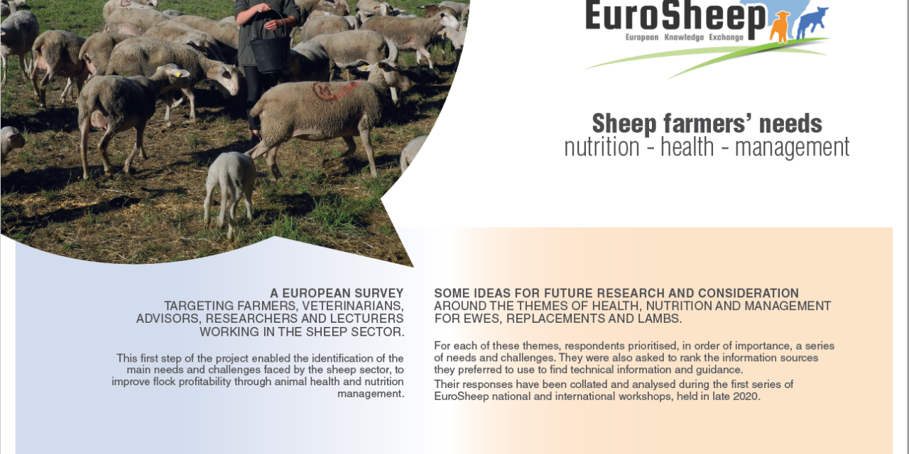 Survey results, Sheep farmers’ needs