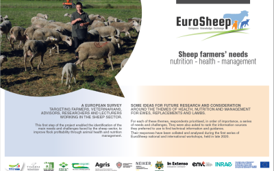 Survey results, Sheep farmers’ needs
