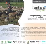 Risultati dell’indagine online sui bisogni degli allevatori ovini