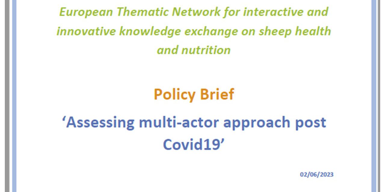 Policy Brief – Assessing multi-actor approach post Covid