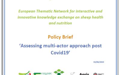 Policy Brief – Assessing multi-actor approach post Covid
