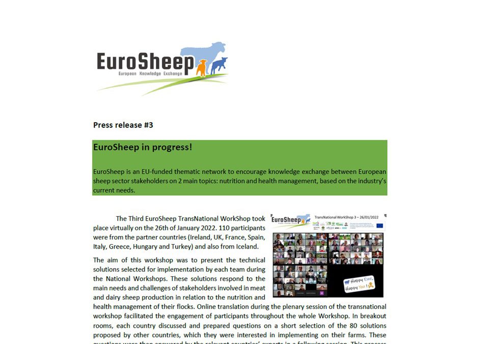 EuroSheep – Press release #3