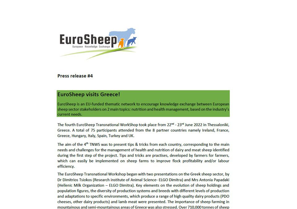 EuroSheep – Press release #4