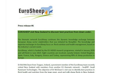 EuroSheep – Press release #6